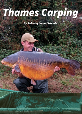 Strictly carp martin clarke english edition